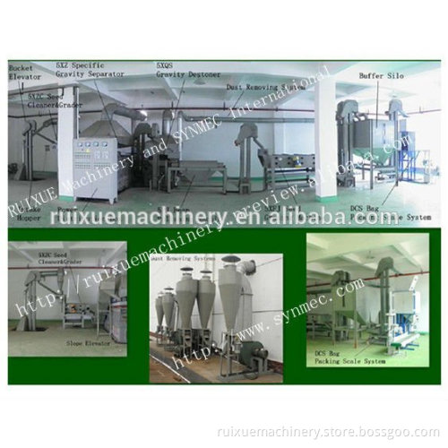 Bean Processing Plant